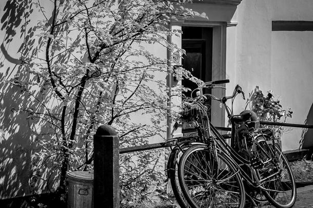阿姆斯特丹到处都是自行车