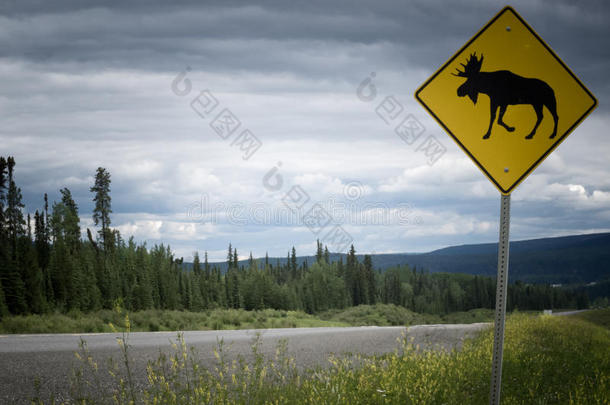 公路警告路标注意驼鹿穿越