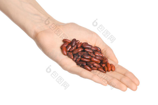 腹股沟和膳食准备主题：人的手拿着一堆干红豆，隔离在工作室的白色背景上
