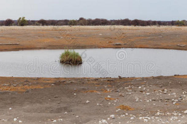 纳米比亚野生动物保护区的空水洞