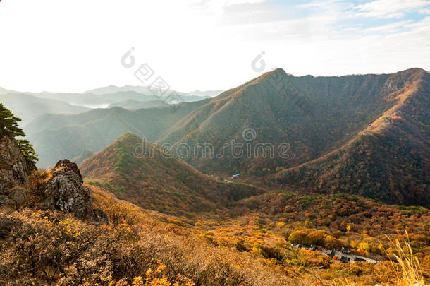 秋天在韩国山的秋天