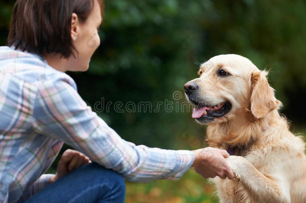 成人充满深情的动物犬科动物班级