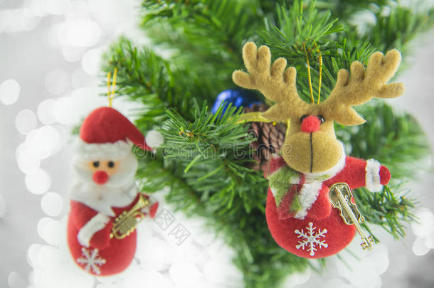 圣诞礼物圣诞老人挂在松树上。 圣诞快乐，新年快乐。