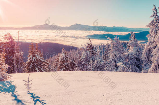 五彩<strong>缤纷</strong>的冬<strong>季</strong>日出在雾蒙蒙的山上。