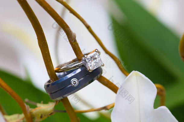 新郎新娘结婚戒指