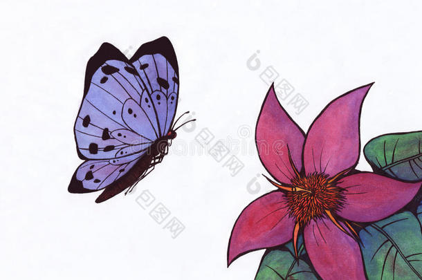 蝴蝶和花（禅宗图片，2011年）