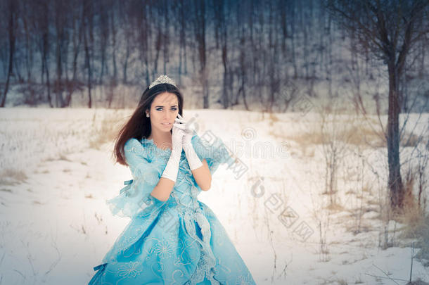 美丽的雪女王在冬季装饰