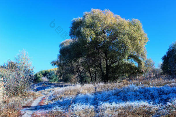 美丽的霜冻的早晨，树上的草上有<strong>雾凇</strong>。