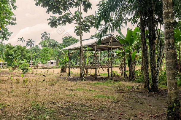营地，Cuyabeno野生动物保护区