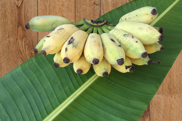 种植香蕉、泰国香蕉和绿色香蕉叶