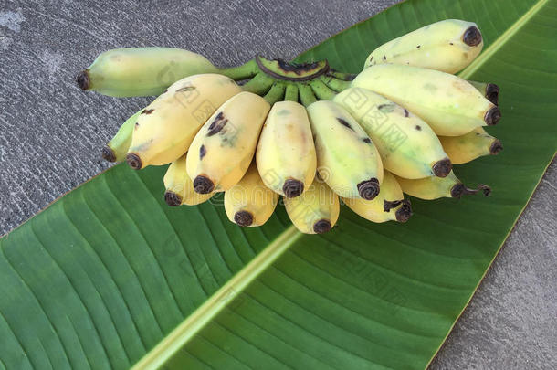 种植香蕉、泰国香蕉和绿色香蕉叶