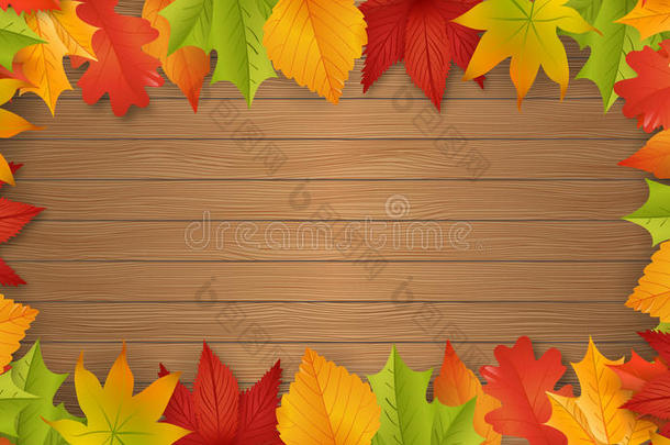 背景-秋天-树叶-树叶