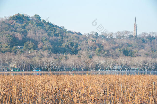 宝珠塔在<strong>杭州</strong>一个冬天的西湖上看到