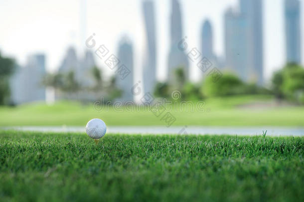 打高尔夫球的日子。 高尔夫球是在发球台上的高尔夫球，在高尔夫球场的绿色草地上，在城市的背景下
