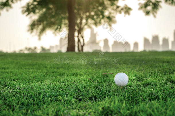 打高尔夫球的日子。 高尔夫球是在发球台上的高尔夫球，在高尔夫球场的绿色草地上，在城市的背景下