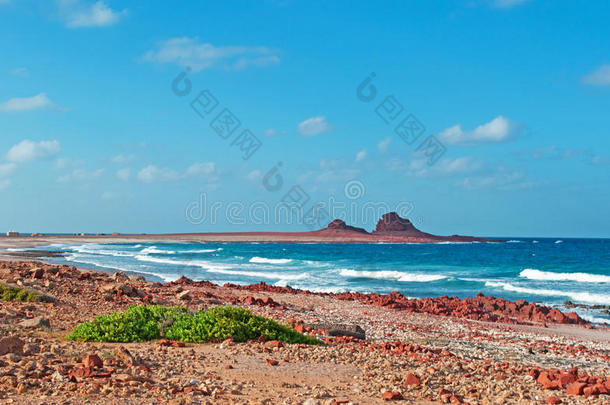 迪哈姆里海洋保护区，海滩，珊瑚，贝壳，红山，潜水在索科特拉岛，也门