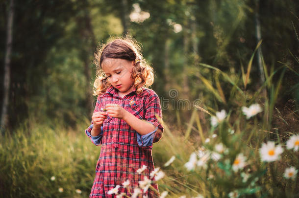 可爱的女孩在户外采摘鲜花在夏季的田野，舒适的心情