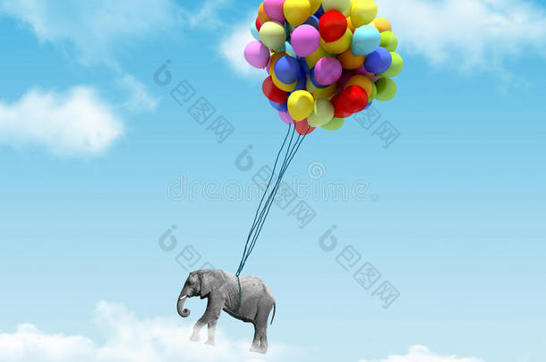 被气球吊起来的大象