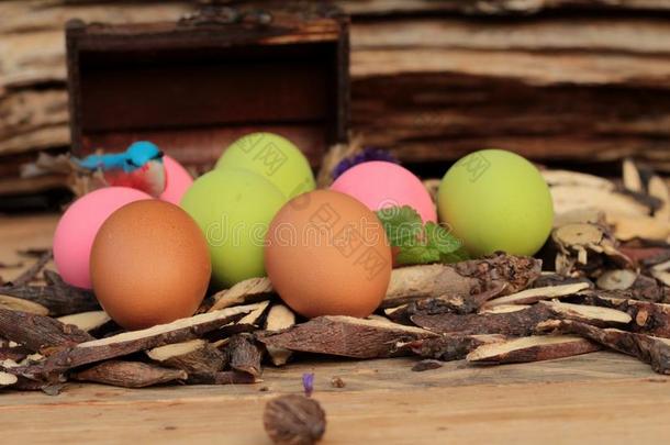 彩色腌制的皮蛋在木材背景上。