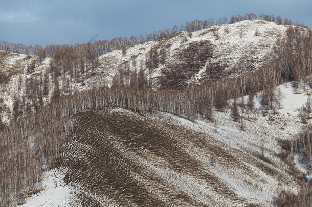 背景冬季山坡与树木