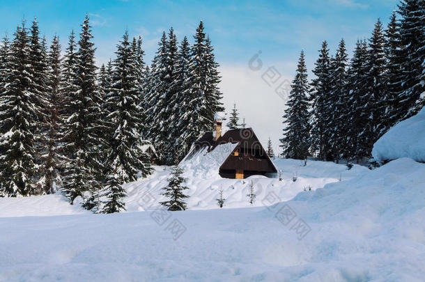 舒适的冬天场景，山上覆盖着白雪