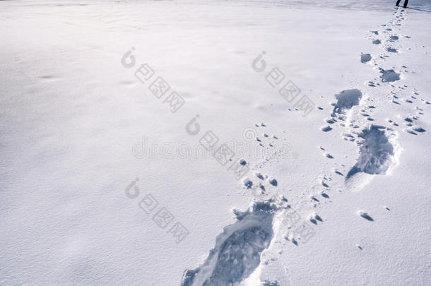 雪上的脚步声