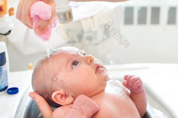 给新生儿洗澡婴儿洗澡