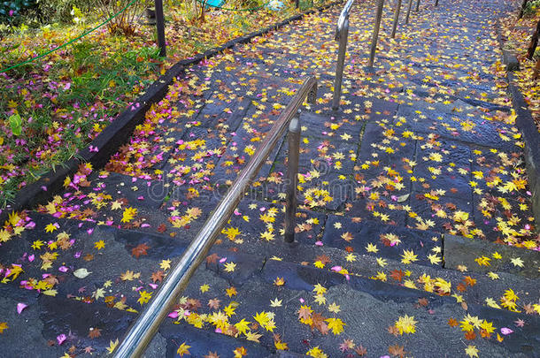 秋天<strong>柏油路上</strong>第一场雪下五颜六色的落叶。
