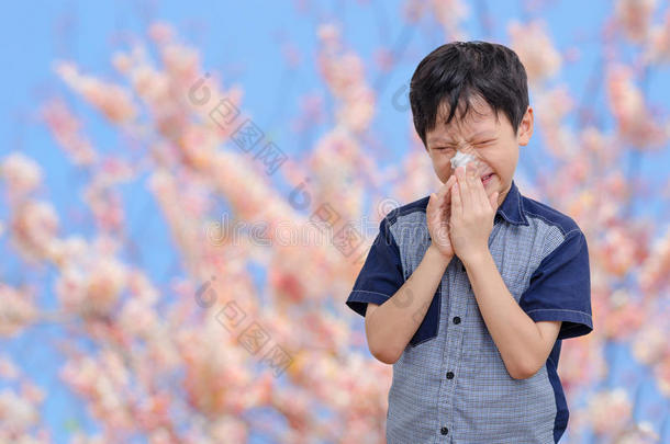 男孩对花粉过敏