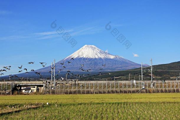 日本富士山