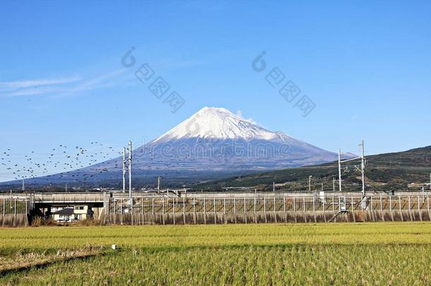 日本富士山