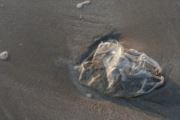 被遗弃的背景海滩棕色的海岸