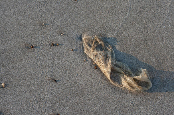 被遗弃的背景海滩棕色的海岸