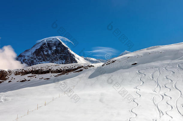 阿尔卑斯山美丽的伯尔尼伯尔尼语蓝色
