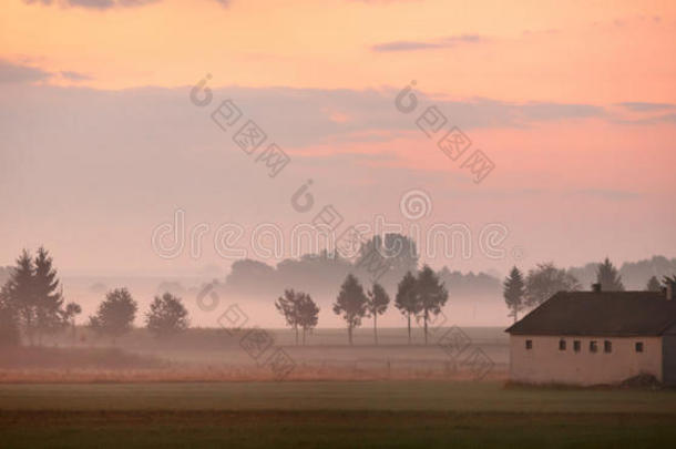 波兰的秋天。 秋天雾蒙蒙的早晨。 九月黎明在波兰