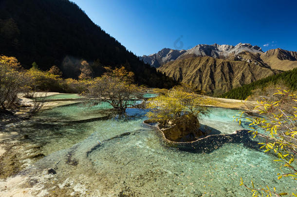 古代森林和矿物沉积湖池