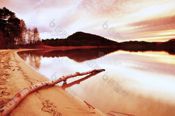 日落后的秋天<strong>傍晚</strong>在<strong>湖边</strong>。 潮湿的沙滩上，干树掉进了水里。 五颜六色的天空。