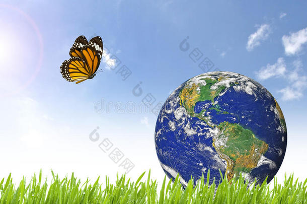 美丽的绿色草地上的蝴蝶和地球