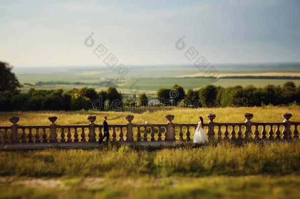 漂亮的新婚夫妇，时尚的新娘和英俊的新郎，拥抱在城堡附近，背景有一块田野