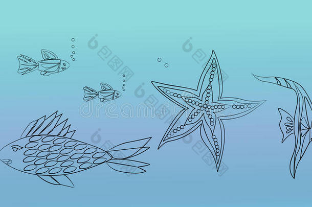 鱼和海星生活在海里。