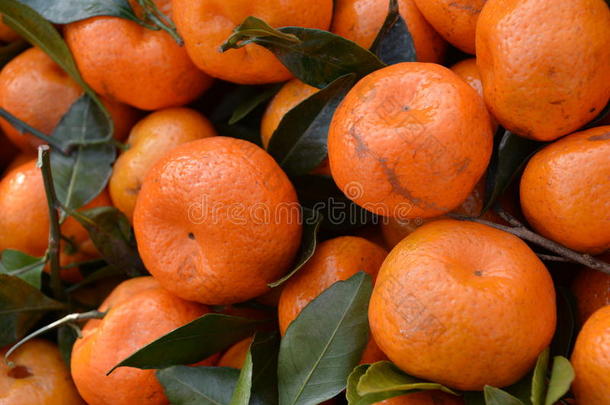 中国蜂蜜橘子。收集柑橘的细节。