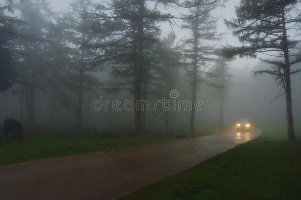 汽车在乡村道路上有雾和能见度低