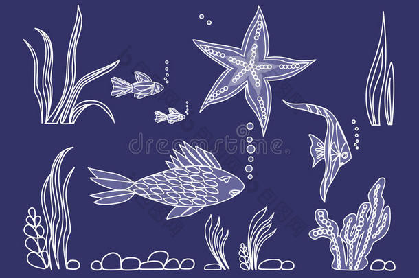 海底的鱼，星星，藻类。