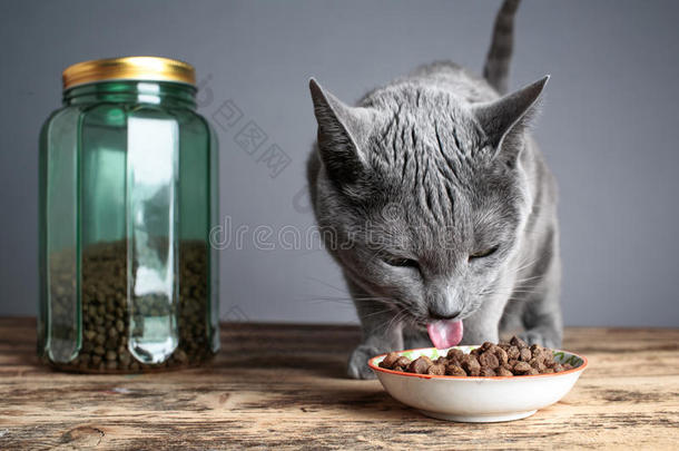 猫和猫的食物在玻璃里