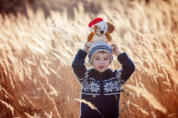可爱的小白种人孩子，男孩，抱着毛茸茸的玩具，拥抱着它