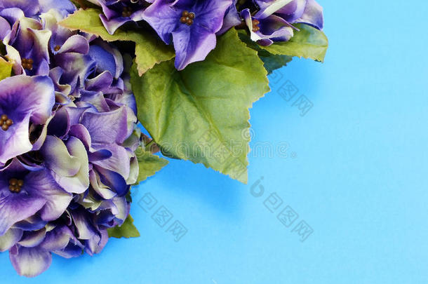 美丽的紫色绣球紫色绣球花人工花束