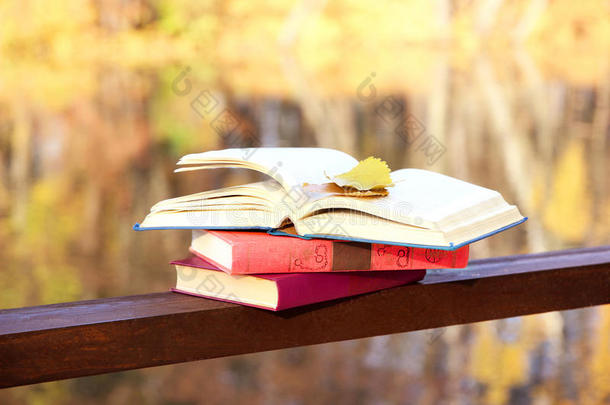 书在湖边的一片地上。 知识就是力量。 教育。 启蒙。