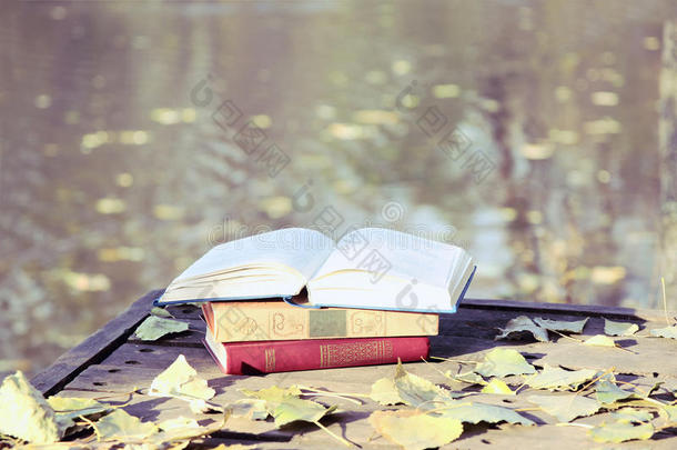 书在湖边的一片地上。 知识就是力量。 教育。 <strong>启蒙</strong>。
