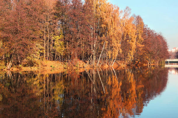 美丽的秋天公园。明斯克的秋天。秋天的树木和树叶。秋天景观公园在秋天。佤族树木的镜面反射
