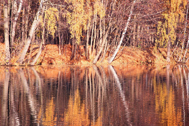 美丽的秋天公园。明斯克的秋天。秋天的树木和树叶。秋天景观公园在秋天。佤族树木的镜面反射